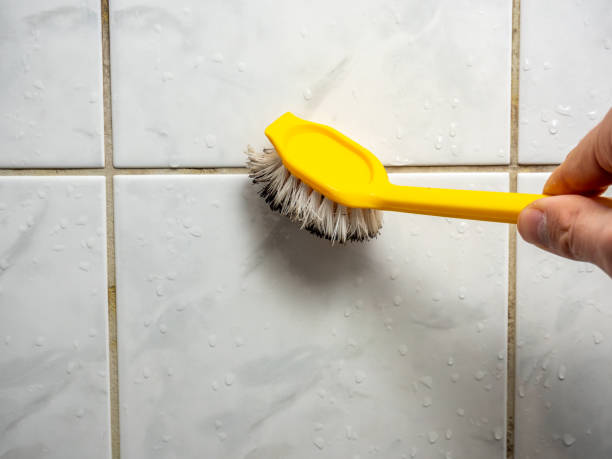Best Attic Mold Removal  in Alpharetta, GA