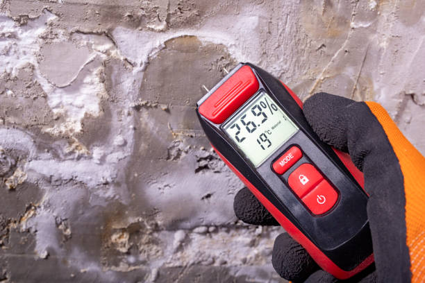 Best Professional Mold Removal  in Alpharetta, GA