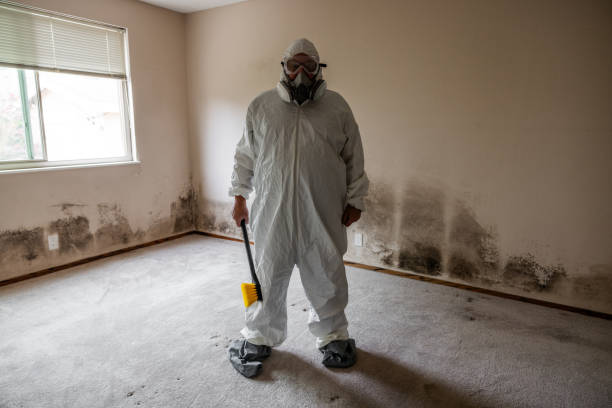 Best Mold Removal and Inspection  in Alpharetta, GA