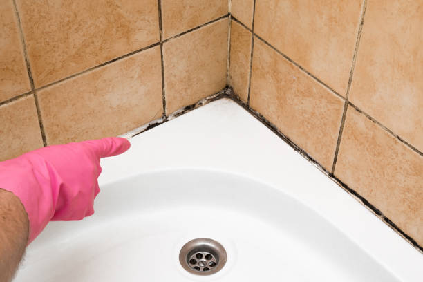 Best Emergency Mold Removal  in Alpharetta, GA